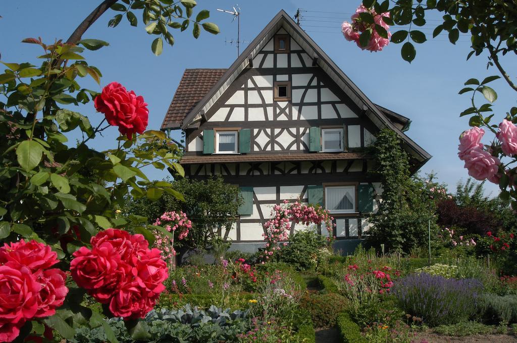 Pflugwirts Und Hotel 3*